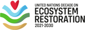 655560b22b90bfcd293d89a6_Ecosystem Restoration-p-500