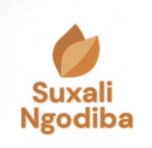 655560b257c6182e37a12d3f_Suxali Ngodiba-p-500