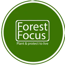 65af0022079c7cc5eeaf77c4_download